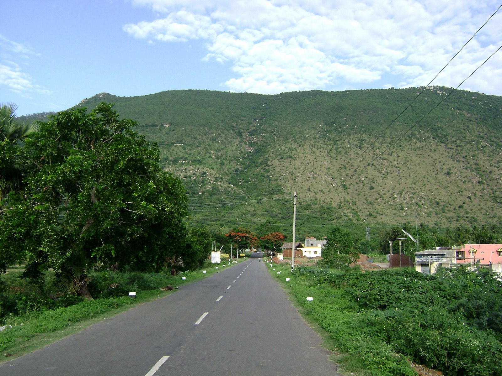 Yelagiri green valley